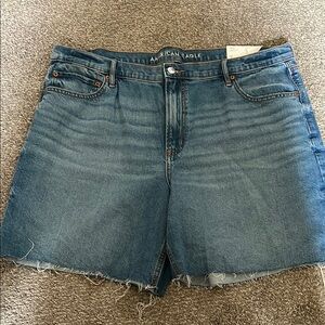 American Eagle Outfitters Women's Blue Denim Shorts